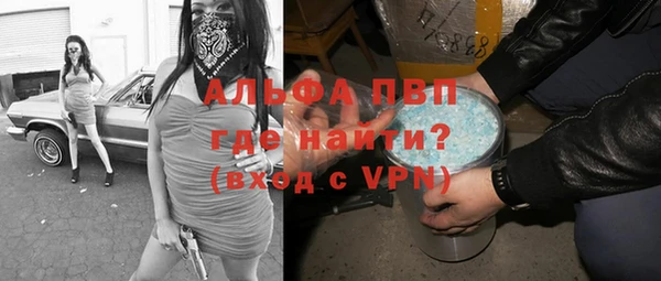 гидра Алексин
