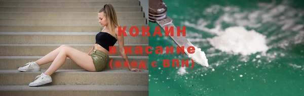 гидра Алексин