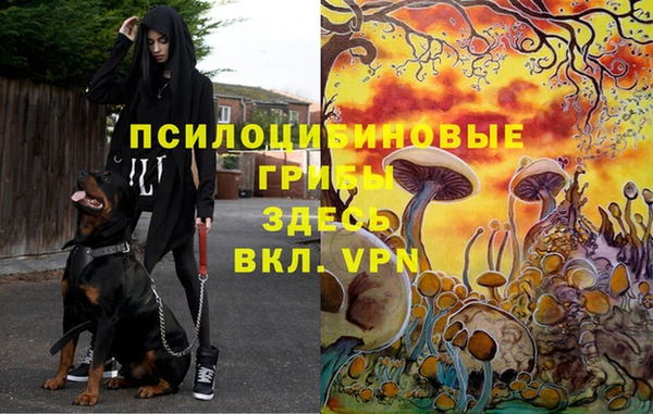 кокс Абаза