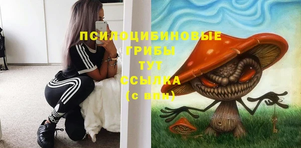 таблы Алексеевка