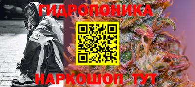 мяу мяу мука Нальчик