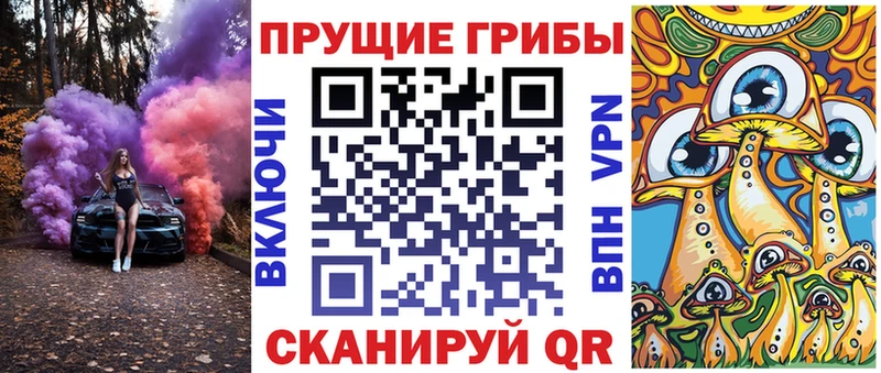 хочу наркоту  Уварово  Галлюциногенные грибы Cubensis 