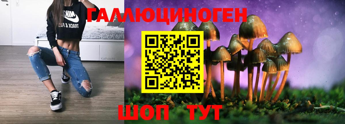 Псилоцибиновые грибы Cubensis Уварово