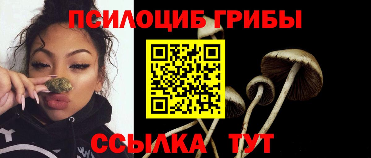 Уварово  Псилоцибиновые грибы MAGIC MUSHROOMS  Вход с VPN 
